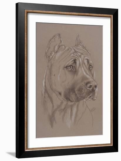 Am Staffordshire Terrier-Barbara Keith-Framed Giclee Print