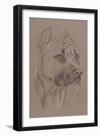 Am Staffordshire Terrier-Barbara Keith-Framed Giclee Print