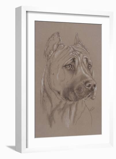 Am Staffordshire Terrier-Barbara Keith-Framed Giclee Print