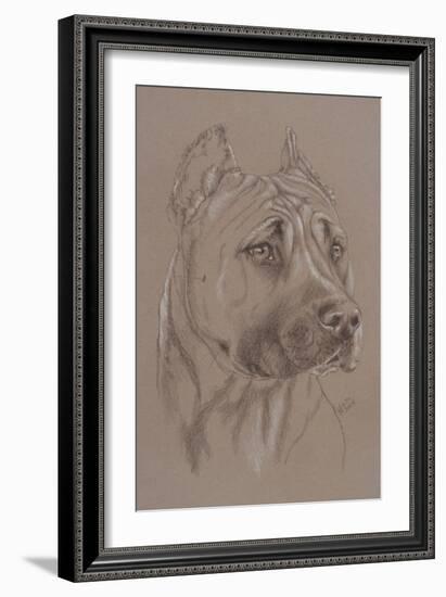 Am Staffordshire Terrier-Barbara Keith-Framed Giclee Print
