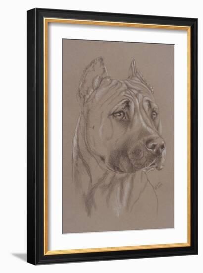 Am Staffordshire Terrier-Barbara Keith-Framed Giclee Print