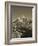 Ama Dablam, Khumbu Valley, Everst Region, Nepal-Jon Arnold-Framed Photographic Print