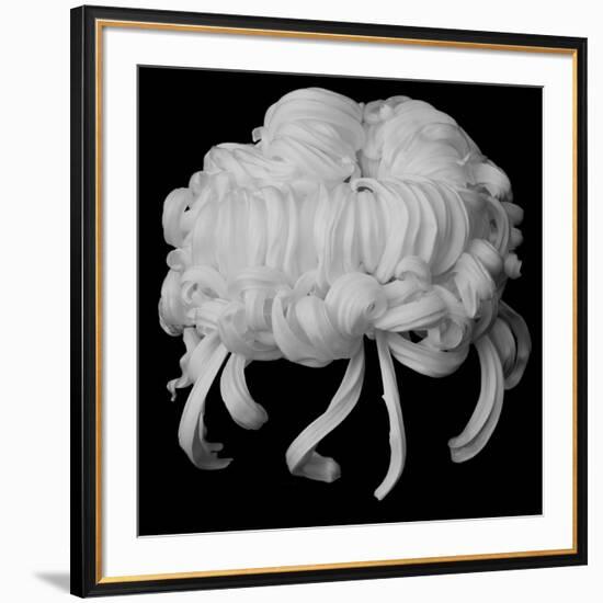 Amadeus, 2009-Hiroyuki Arakawa-Framed Photographic Print