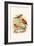 Amaduvade Waxbill-F.w. Frohawk-Framed Art Print