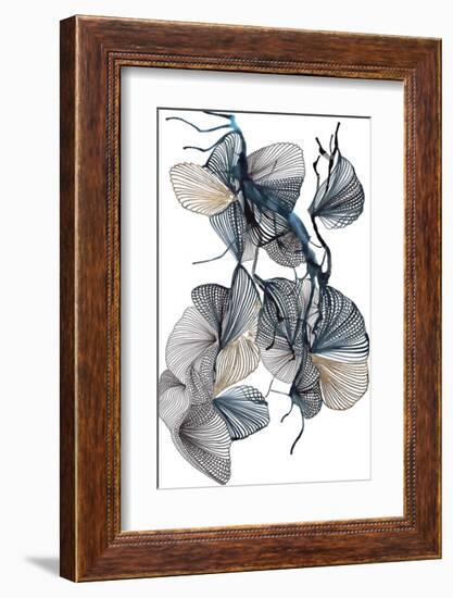 Amal-Kiran Patel-Framed Art Print