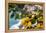 Amalfi Coast Citrus Fruit, Positano, Italy-George Oze-Framed Premier Image Canvas