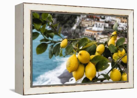 Amalfi Coast Citrus Fruit, Positano, Italy-George Oze-Framed Premier Image Canvas