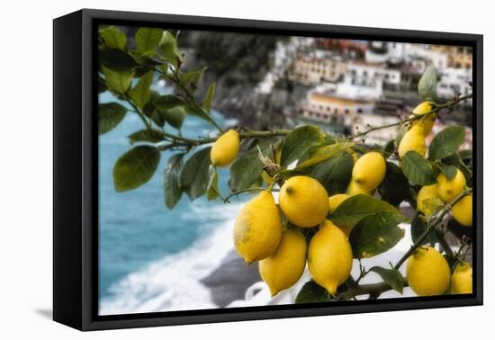 Amalfi Coast Citrus Fruit, Positano, Italy-George Oze-Framed Premier Image Canvas