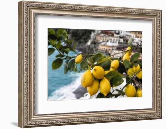 Amalfi Coast Citrus Fruit, Positano, Italy-George Oze-Framed Photographic Print