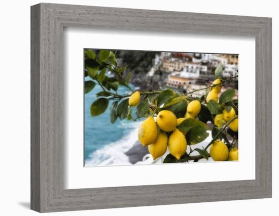 Amalfi Coast Citrus Fruit, Positano, Italy-George Oze-Framed Photographic Print