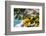 Amalfi Coast Citrus Fruit, Positano, Italy-George Oze-Framed Photographic Print