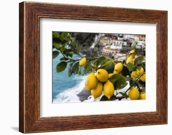 Amalfi Coast Citrus Fruit, Positano, Italy-George Oze-Framed Photographic Print