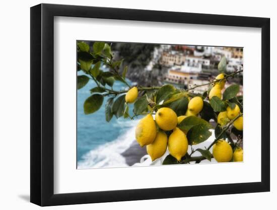 Amalfi Coast Citrus Fruit, Positano, Italy-George Oze-Framed Photographic Print