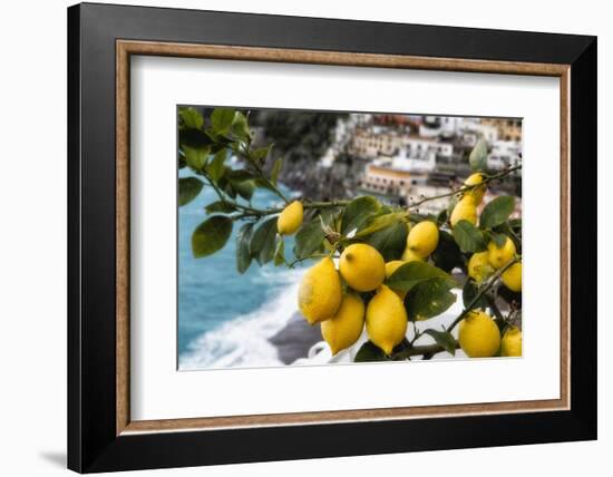 Amalfi Coast Citrus Fruit, Positano, Italy-George Oze-Framed Photographic Print