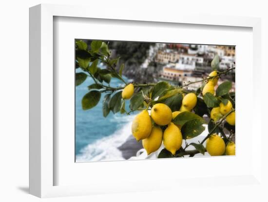 Amalfi Coast Citrus Fruit, Positano, Italy-George Oze-Framed Photographic Print