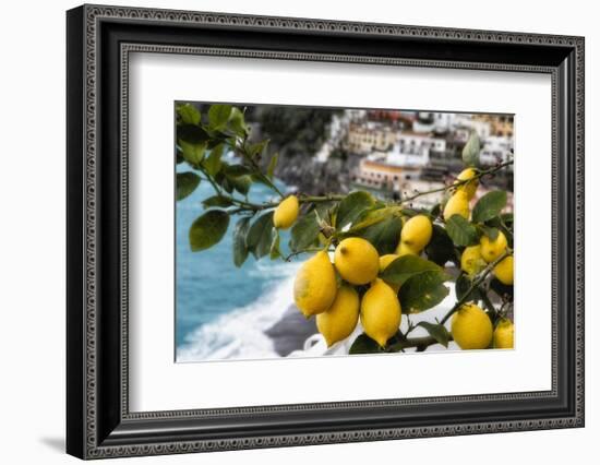 Amalfi Coast Citrus Fruit, Positano, Italy-George Oze-Framed Photographic Print