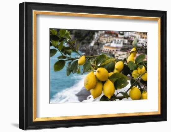 Amalfi Coast Citrus Fruit, Positano, Italy-George Oze-Framed Photographic Print