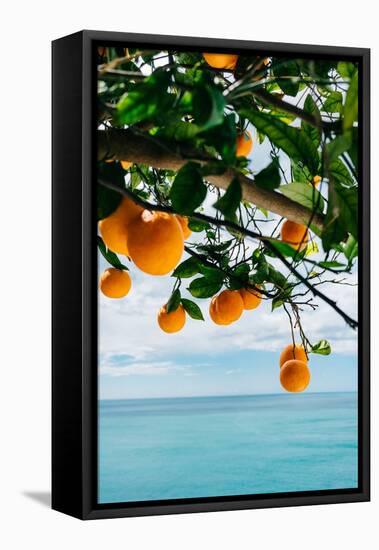 Amalfi Coast Oranges IV-Bethany Young-Framed Premier Image Canvas