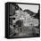 Amalfi Pier #1-Alan Blaustein-Framed Stretched Canvas