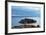 Aman Sveti Stefan Island, Montenegro, Europe-Christian Kober-Framed Photographic Print