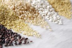 Grain Still Life: Brown Rice, Millet, Rice, Pearl Barley, Amaranth-Amana Images Inc.-Mounted Photographic Print