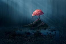 A Single Pink Tree in a Dark Blue Forest.-Amanda Carden-Framed Art Print