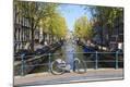 Photographic Print