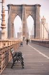 Brooklyn Bridge, New York, United States of America, North America-Amanda Hall-Photographic Print