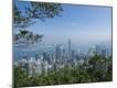 Premium Photographic Print