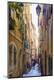 Photographic Print