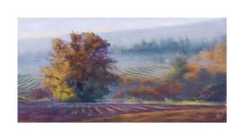 Autumn First Light-Amanda Houston-Giclee Print