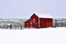 Red Barn in Winter-Amanda Lee Smith-Photographic Print