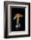 Amanita Caesarea (Caesar's Mushroom)-Paul Starosta-Framed Photographic Print