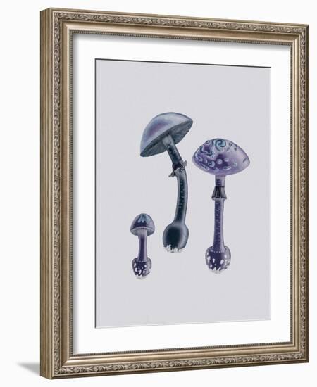 Amanita Muscaria White Backgound Purple-John Stephenson and James Morss Churchill-Framed Giclee Print