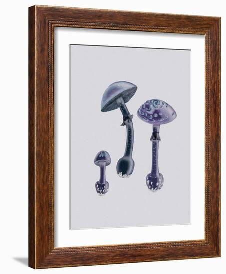 Amanita Muscaria White Backgound Purple-John Stephenson and James Morss Churchill-Framed Giclee Print