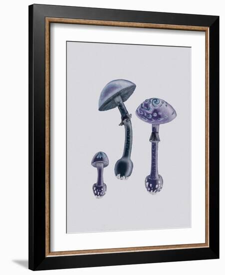 Amanita Muscaria White Backgound Purple-John Stephenson and James Morss Churchill-Framed Giclee Print