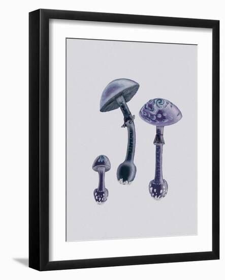 Amanita Muscaria White Backgound Purple-John Stephenson and James Morss Churchill-Framed Giclee Print