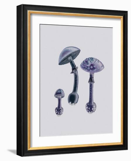 Amanita Muscaria White Backgound Purple-John Stephenson and James Morss Churchill-Framed Giclee Print