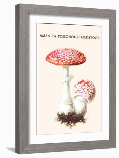 Amanita Poisonous Toadstool-L. Dufour-Framed Art Print