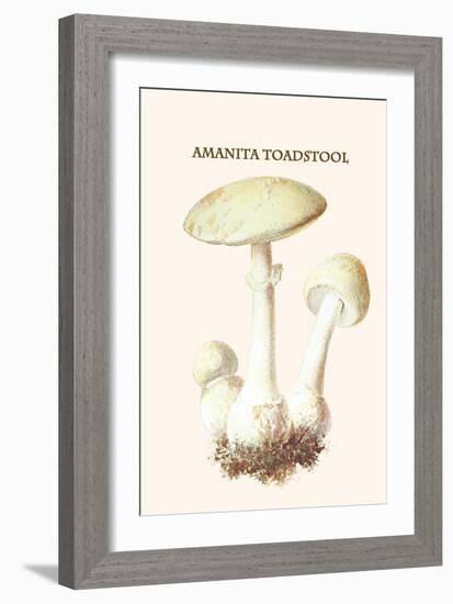 Amanita Toadstool-Edmund Michael-Framed Art Print