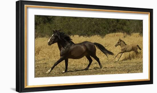 AMANTE & AMBER-SALLY LINDEN-Framed Photographic Print