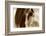 Amante-Lisa Dearing-Framed Photographic Print