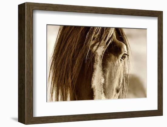 Amante-Lisa Dearing-Framed Photographic Print