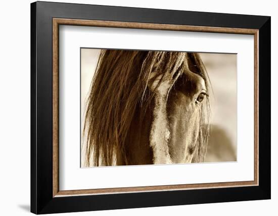 Amante-Lisa Dearing-Framed Photographic Print