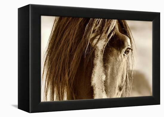 Amante-Lisa Dearing-Framed Premier Image Canvas