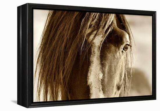 Amante-Lisa Dearing-Framed Premier Image Canvas