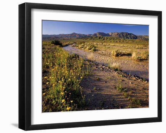 Amargosa River and Owlshead Range in Death Valley National Park, California, USA-Chuck Haney-Framed Photographic Print