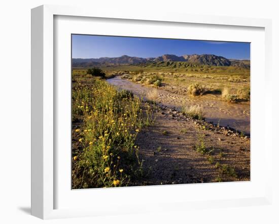 Amargosa River and Owlshead Range in Death Valley National Park, California, USA-Chuck Haney-Framed Photographic Print