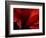 Amarilla-Lydia Marano-Framed Photographic Print