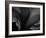 Amarilla-Lydia Marano-Framed Photographic Print